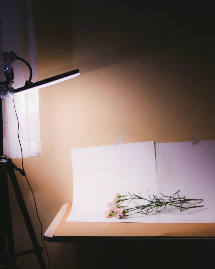 Fundos de papel e uma fonte de luz montados numa mesa de trabalho do estúdio
